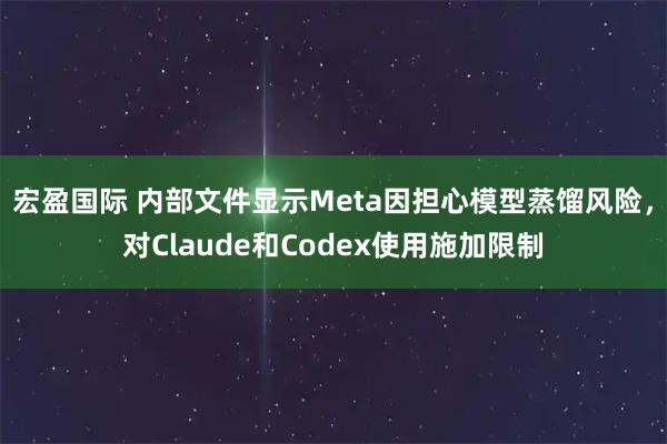 宏盈国际 内部文件显示Meta因担心模型蒸馏风险，对Claude和Codex使用施加限制