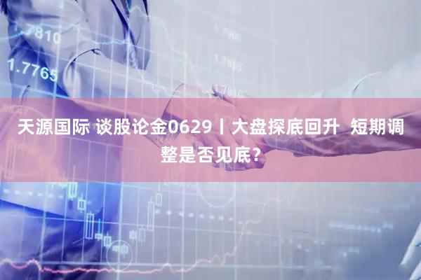 天源国际 谈股论金0629丨大盘探底回升  短期调整是否见底？