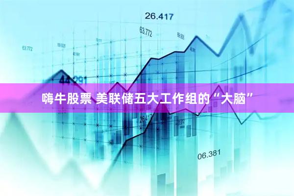嗨牛股票 美联储五大工作组的“大脑”